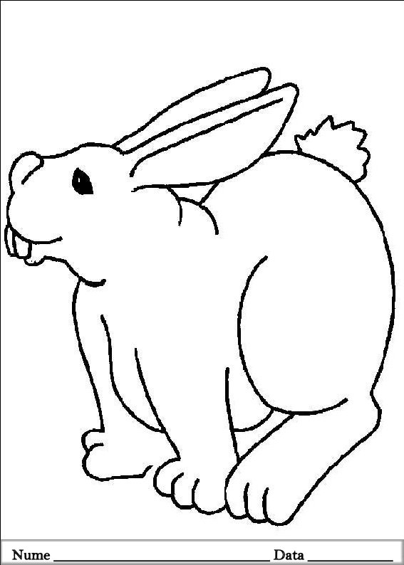 desene de colorat planse iepurasi de pasti